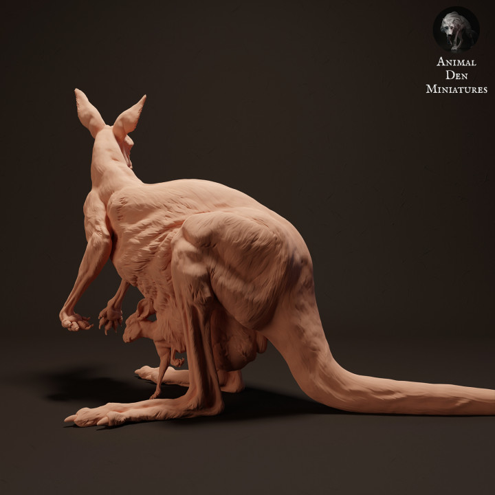 Red Kangaroo Female Stand