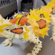 Picture of print of Thorny Devil