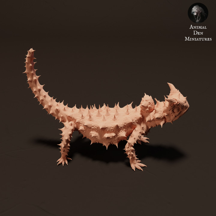 Thorny Devil