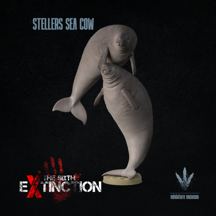 Steller's sea cow : Gentle Giants image