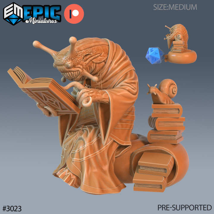 Snail Mage Reading / Shell Slug / Mollusca Warrior / Shelled Gastropod / Classic Cave Encounter
