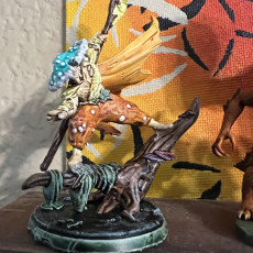 Mushroom Samurai