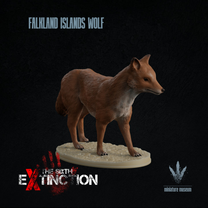 3D Printable Falkland Islands wolf : Dusicyon australis by Miniature Museum