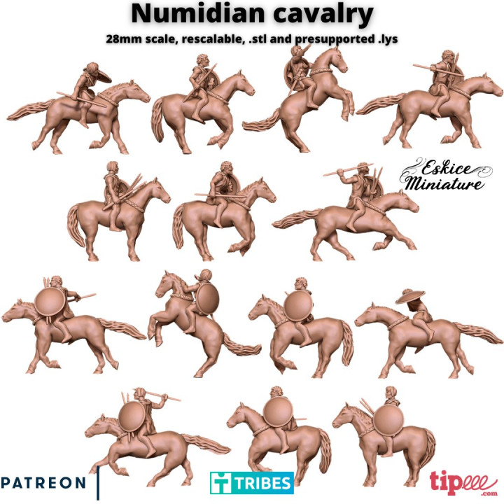 Numidian Cavalry - 28mm image