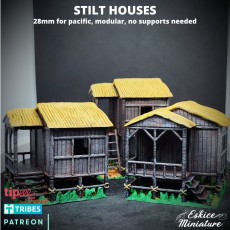 Picture of print of Houses on stilts for Pacific front - 28mm