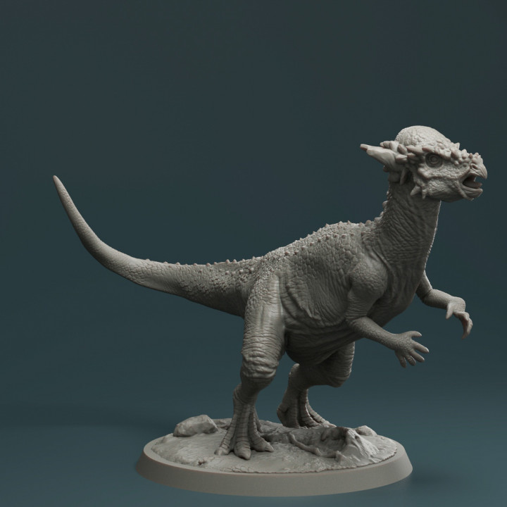 pachycephalosaurus dinosaur image