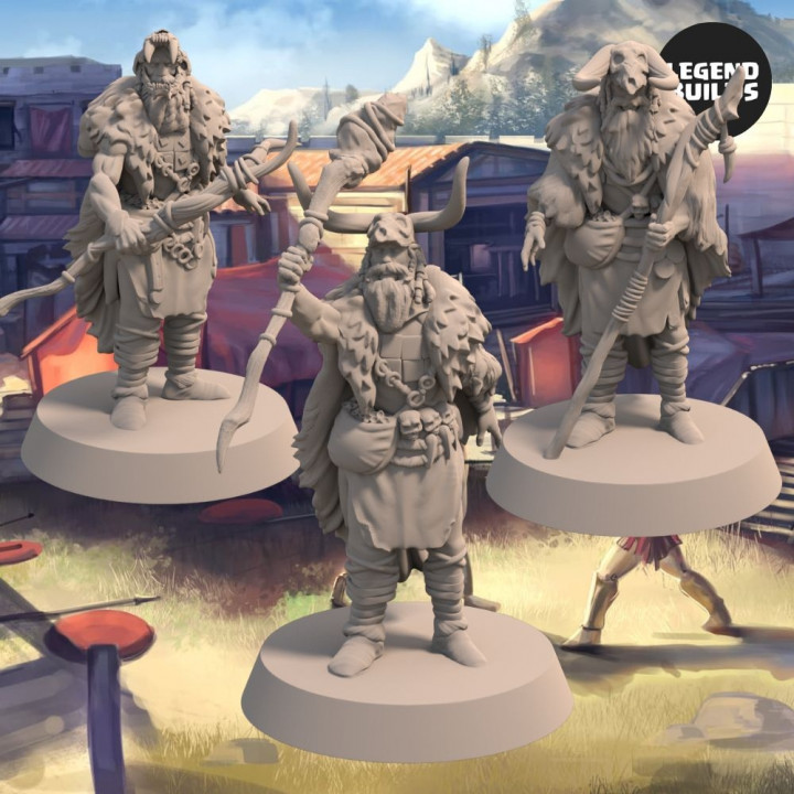 The Acenii Shamans - Set 2 - 3D printable miniature – STL file