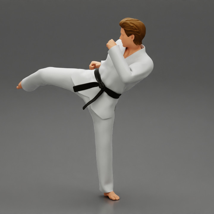 Karate man in a white kimono with a black belt image