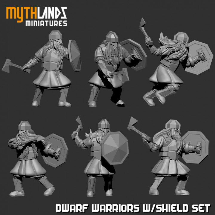 6x Dwarf Warriors with shields image