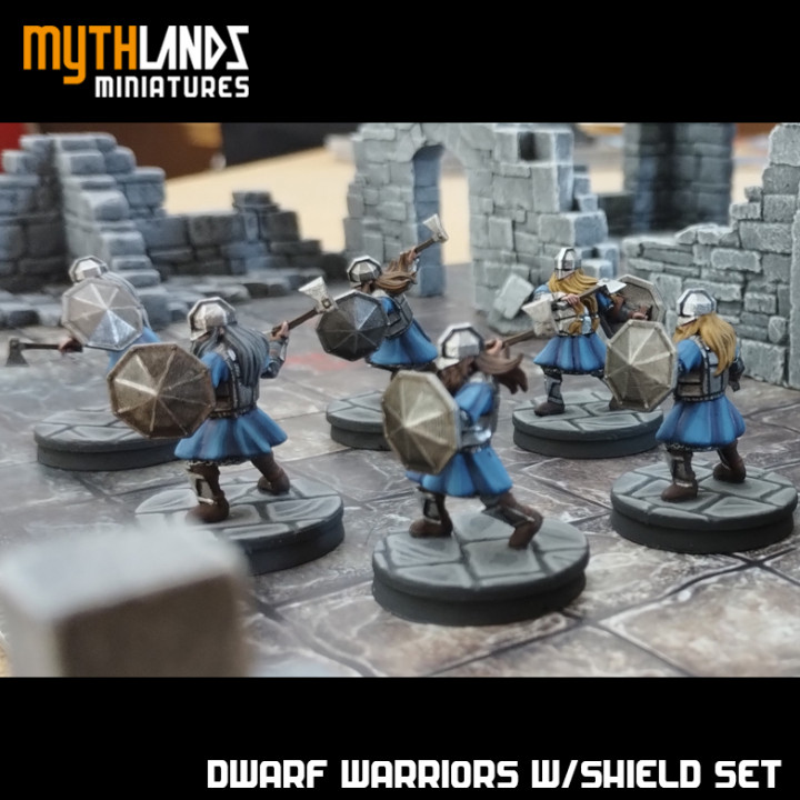 6x Dwarf Warriors with shields image