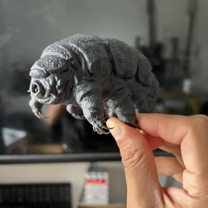 Tardigrade (Accurate) image