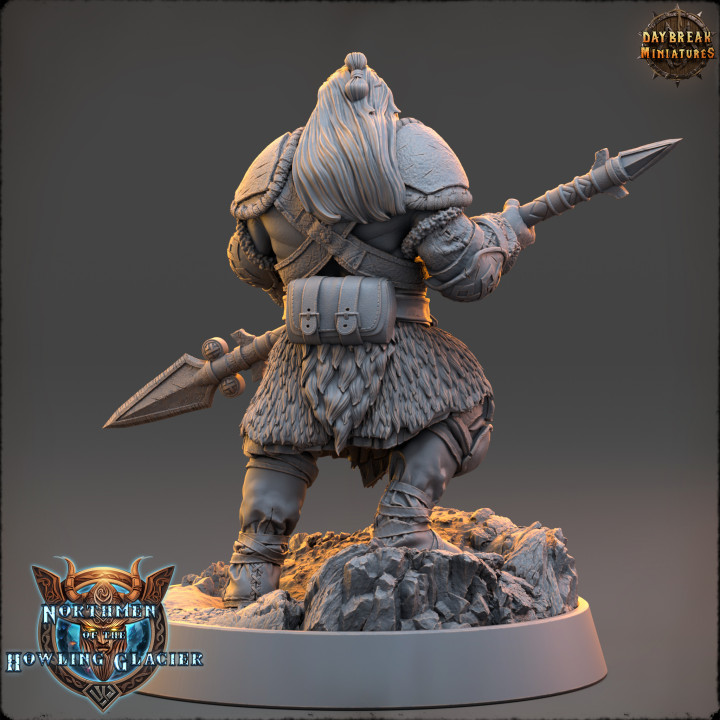 Vidar Paleface - Northmen of the Howling Glacier image