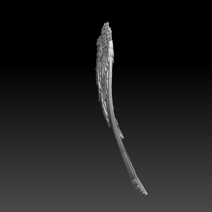 WINGS