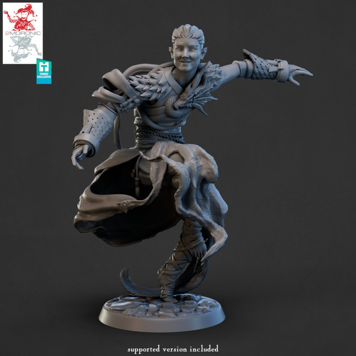Avatar of Bahamut – the Young Monk Grandmaster of Flowers - 32mm and 75mm scale image