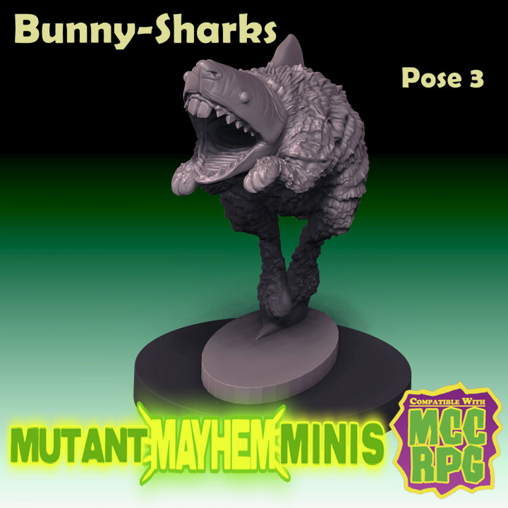 Bunny Sharks -Pose 3 image
