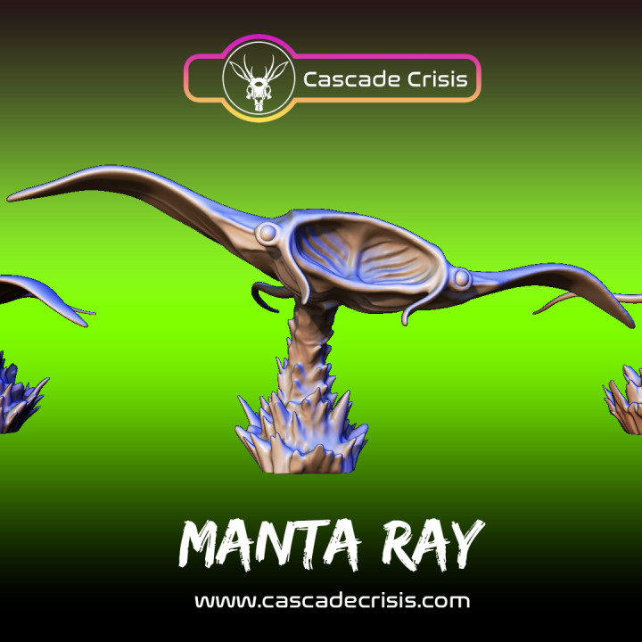 Manta Ray