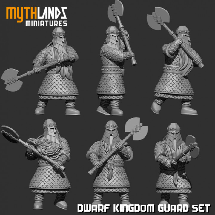 6x Dwarf Kingdom Guard image
