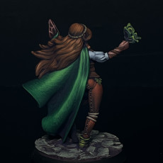Picture of print of Loreil Softvale, The Druid [PRE-SUPPORTED] Female Elf