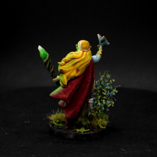Picture of print of Loreil Softvale, The Druid [PRE-SUPPORTED] Female Elf