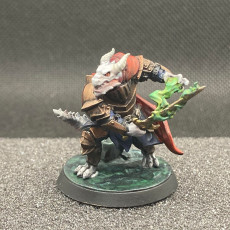 Picture of print of Gargax Darkoat, The Paladin [PRE-SUPPORTED]