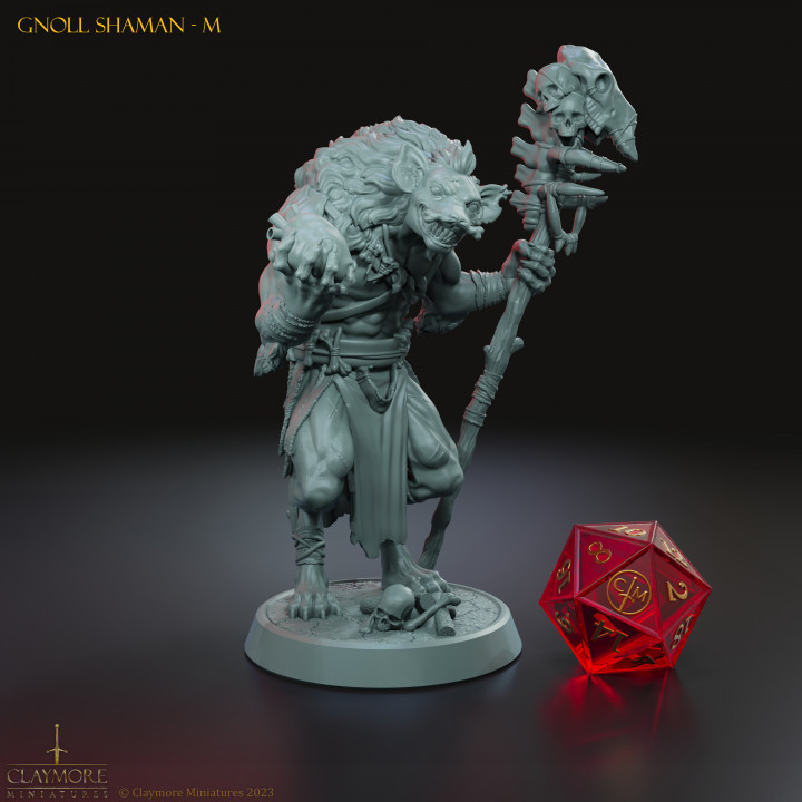 Gnoll Shaman