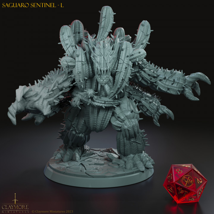 Saguaro Sentinel