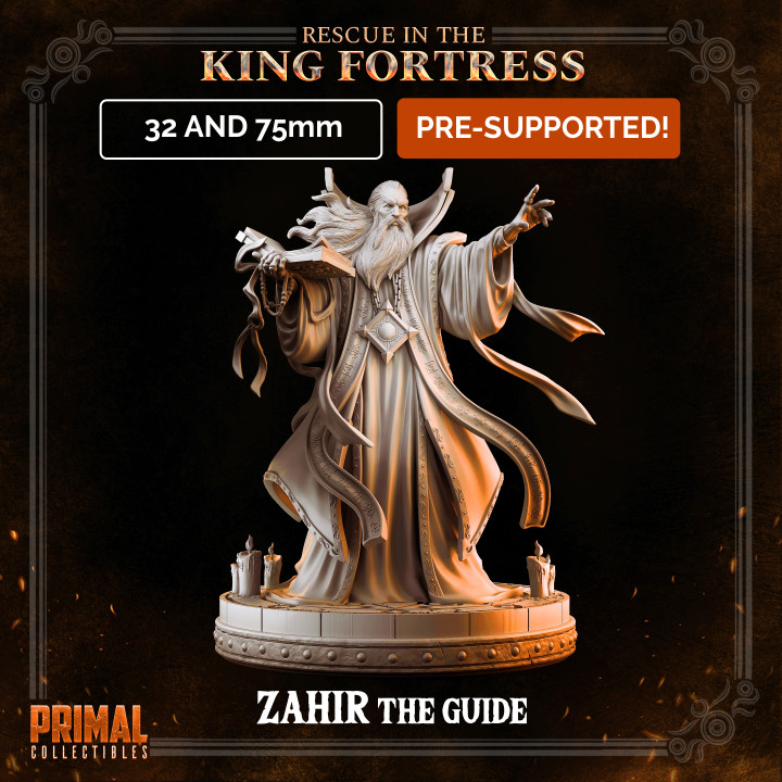 Wizard - ZAHIR THE GUIDE - April 2023 - RESCUE IN THE KING FORTRESS -  MASTERS OF DUNGEONS QUEST image