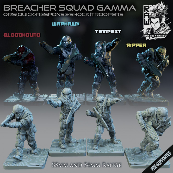 Breacher Squad Gamma image