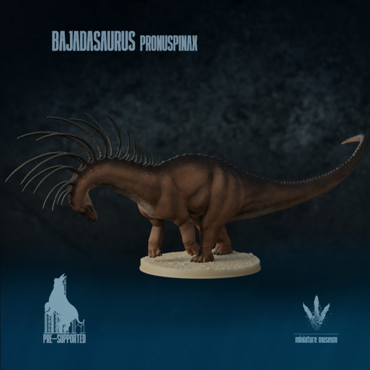 Bajadasaurus pronuspinax : Defensive Posture image