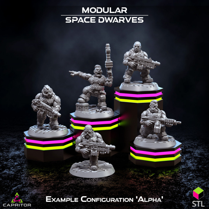 Modular Space Dwarves - Over 100 Parts Kickstarter Package (Includes Pre-supported Files) image