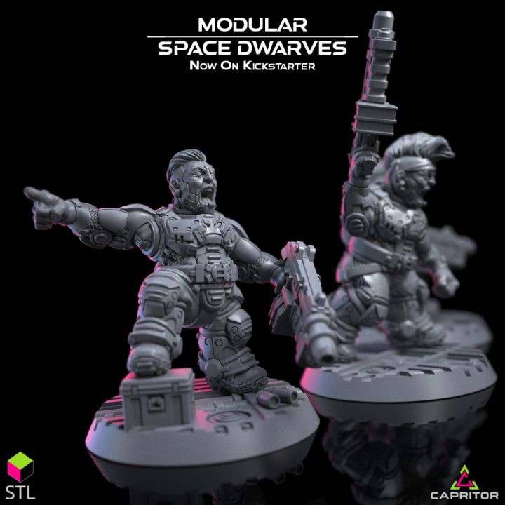 Modular Space Dwarves - Over 100 Parts Kickstarter Package (Includes Pre-supported Files) image