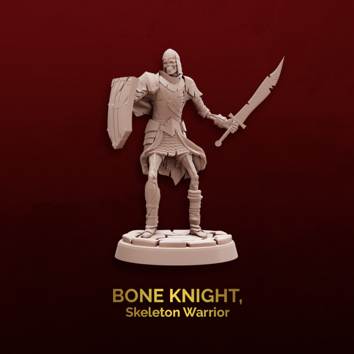 Bone Knight image