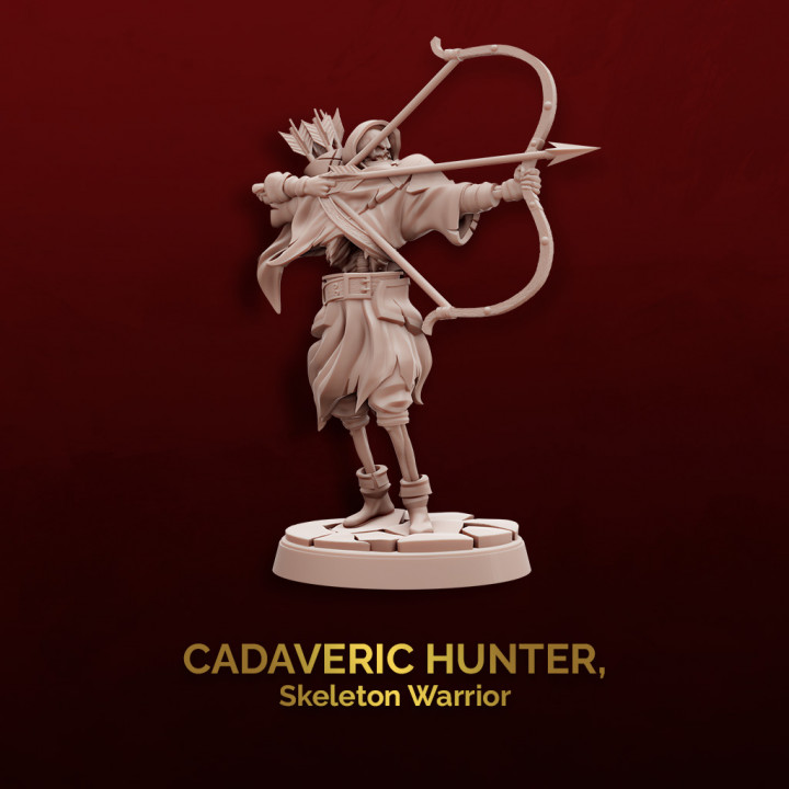 Cadaveric Hunter image