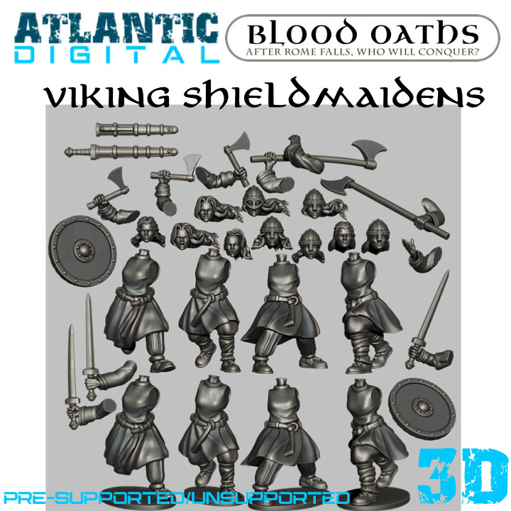 Viking Shieldmaidens image
