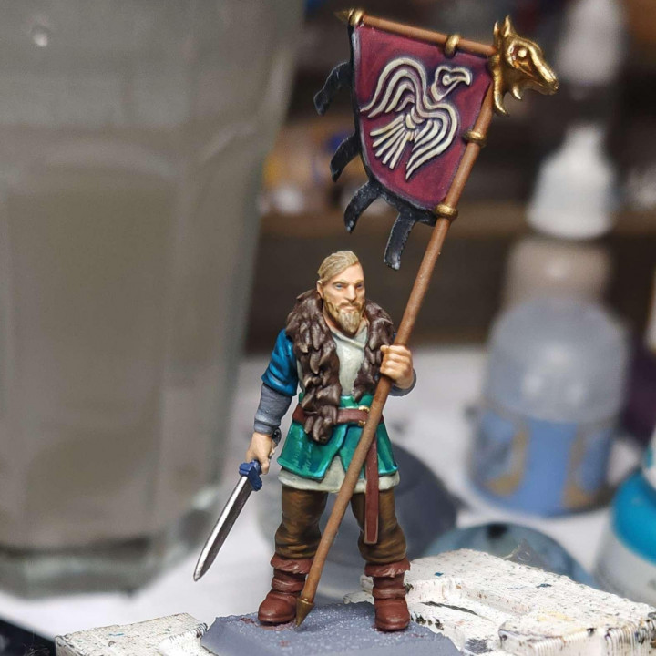 Viking Standard Bearer