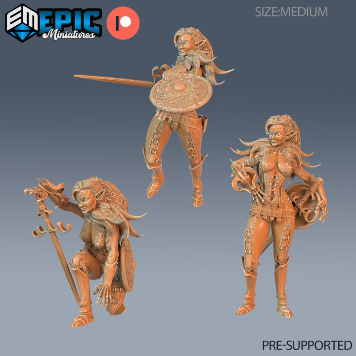 Elf Fighter Female Player Cahracter Set / Elvish  Girl /  Elven Warrior / Forest Guard / Medieval Encounter image