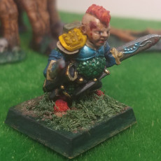 Picture of print of Halfling Adventuring Fighter