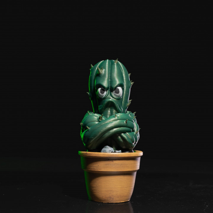 Prickly Punk Gang 03