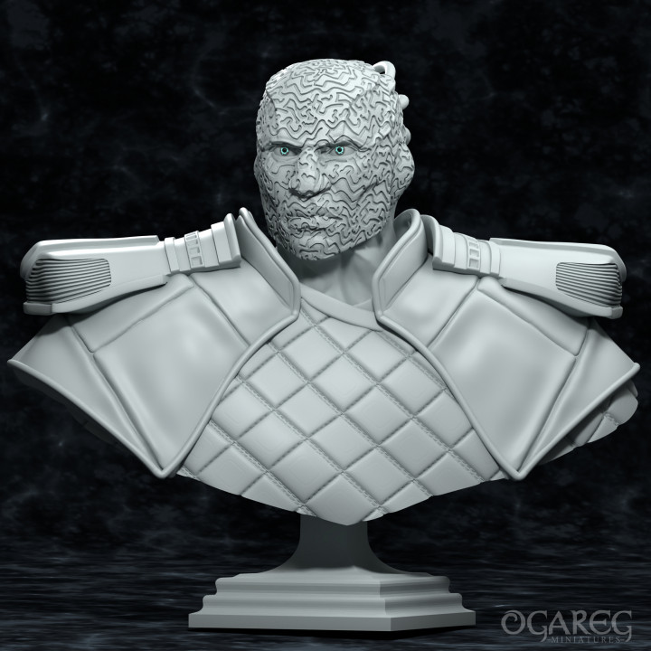 Vessel of the Warp, Fanart Bust