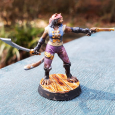 Picture of print of Tabaxi Pirate
