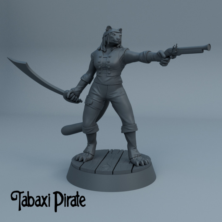 Tabaxi Pirate image