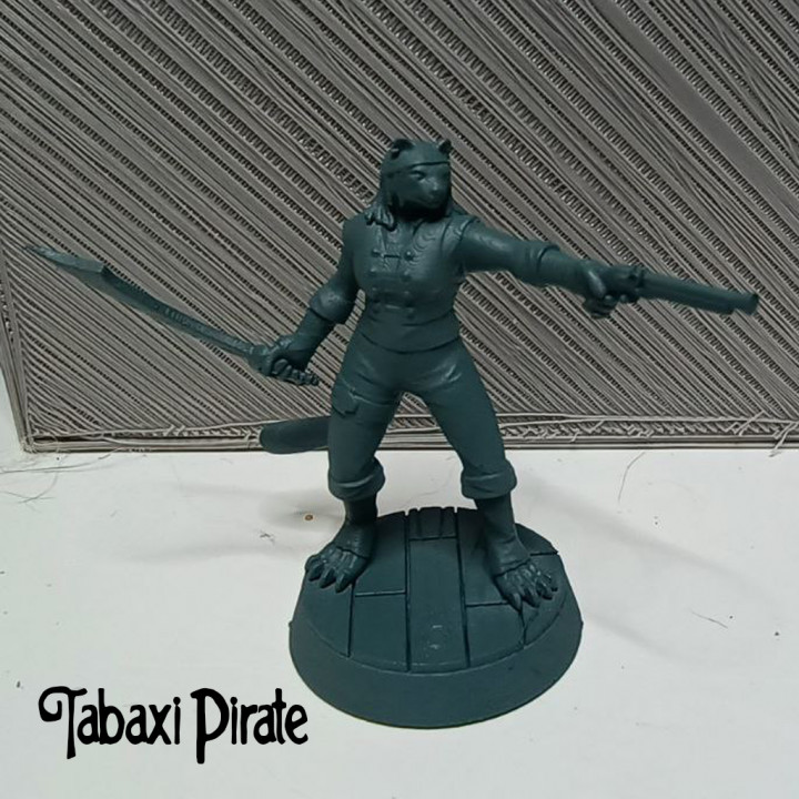 Tabaxi Pirate image