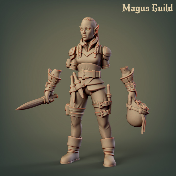 Female Elf Rogue – MG3.1