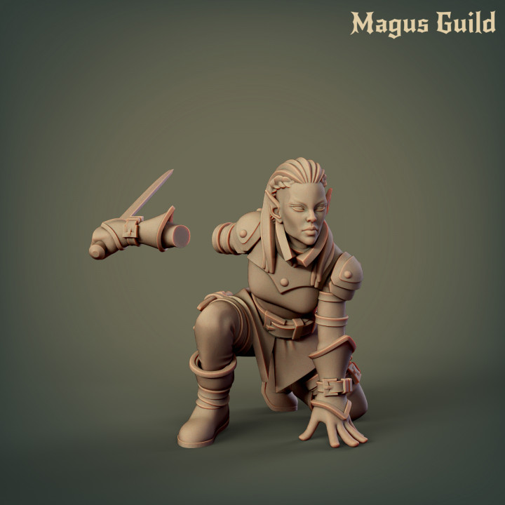 Elf Rogue Female – MG3.3