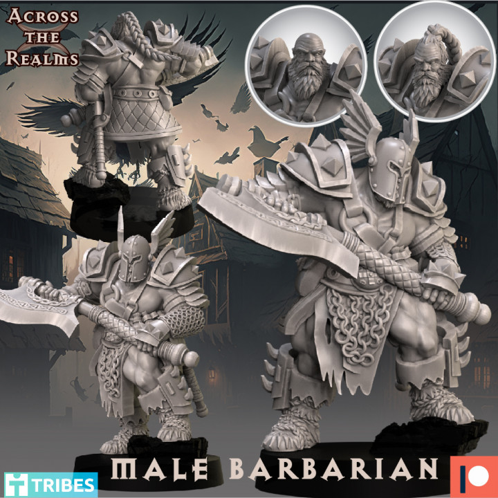 Male Barbarian image