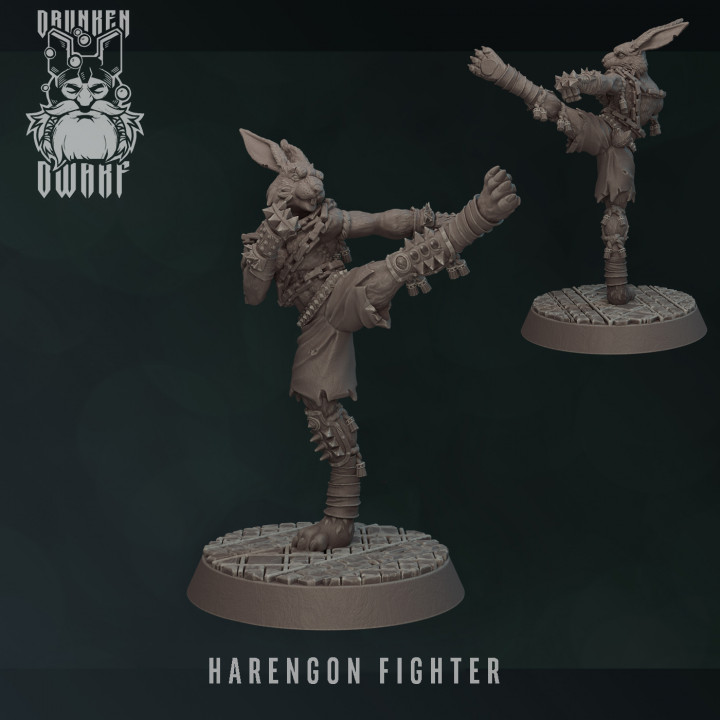 harengon fighter image