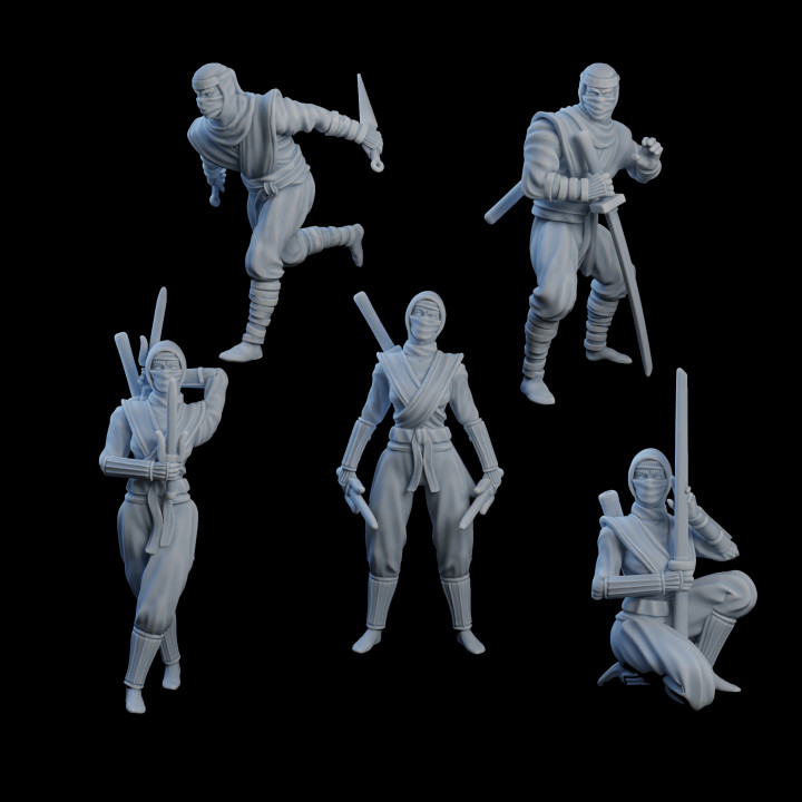 Shinobi Squad - Bushido - Way of The Warrior Vol. 2 Kickstarter