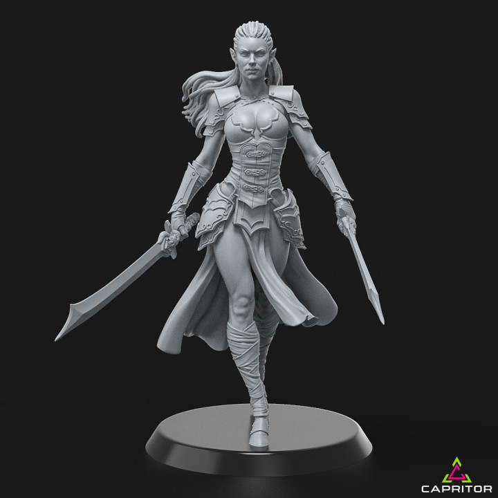 Dark Elf Warrior "Ylenia Bloodthorn" 75mm Scale image
