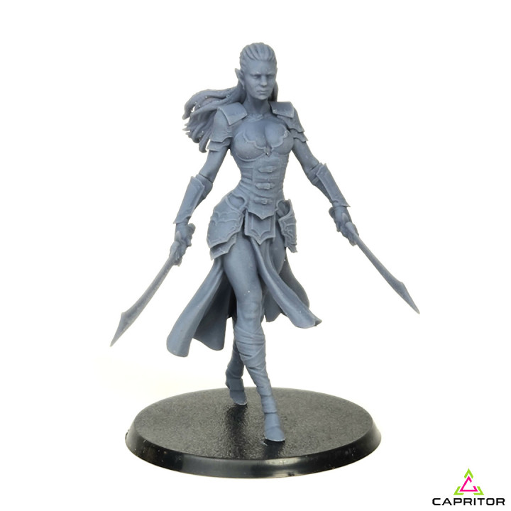 Dark Elf Warrior "Ylenia Bloodthorn" 75mm Scale image