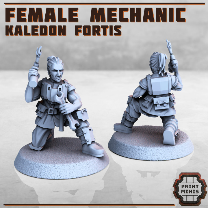 Female Mechanic - Kaledon Fortis image